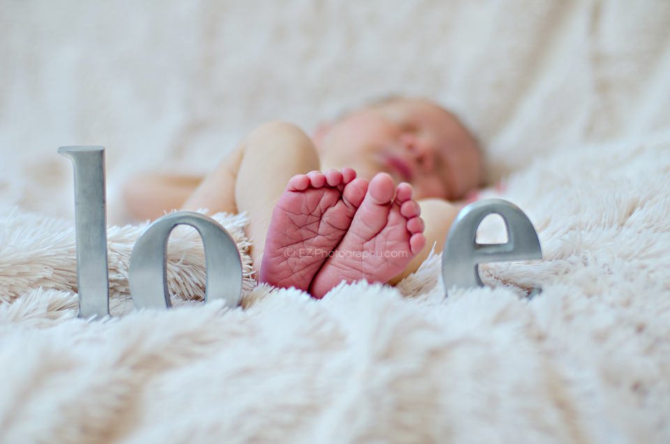 newborn photographer melbourne fl